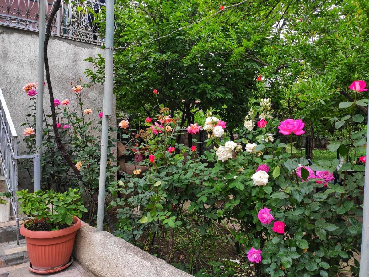 Guesthouse Ttt Tiflis Exterior foto