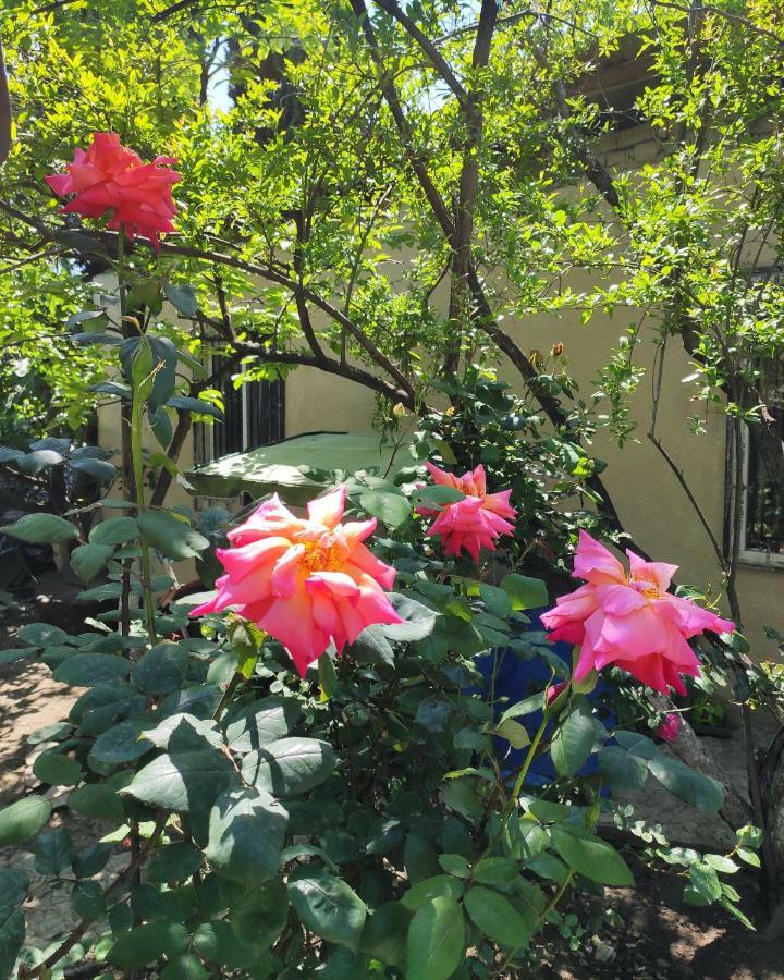 Guesthouse Ttt Tiflis Exterior foto