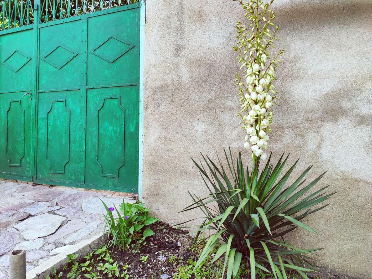 Guesthouse Ttt Tiflis Exterior foto